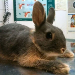 10% DESCUENTO EN CONSULTAS GENERALES